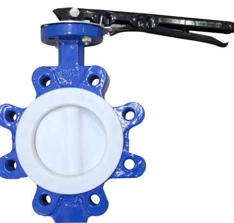 MS PTFE Butterfly Valve in Malaysia