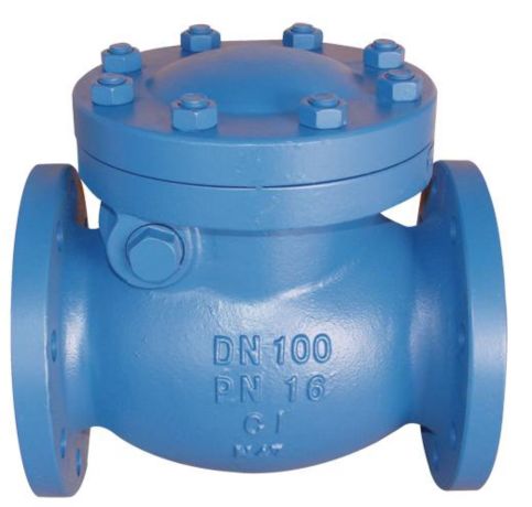 PFA Cast Iron Swing Check Valve in Malaysia