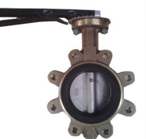 PTFE Lined Bronze Lug Type Butterfly Valve in Malaysia