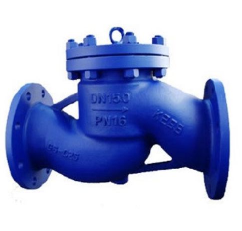 PTFE Lined Check Valve in Malaysia